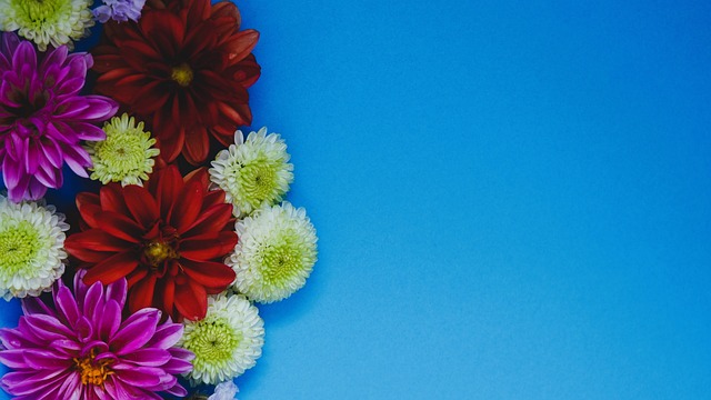 的技战术变 的技战术变