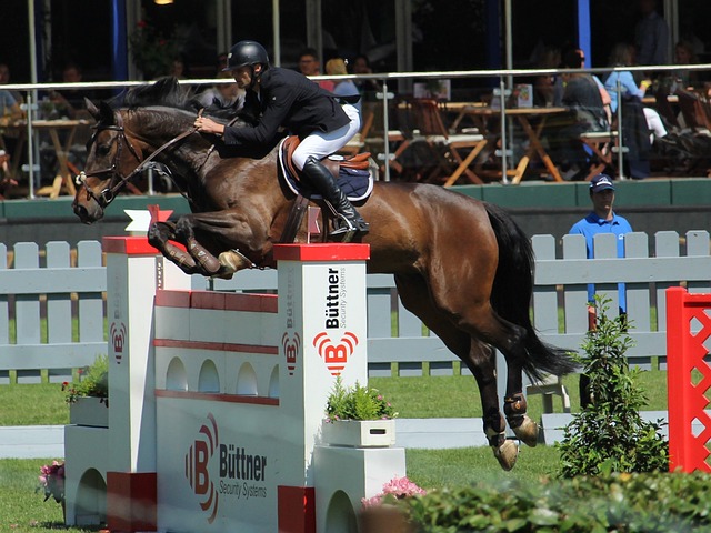 与者的认可 与者的认可