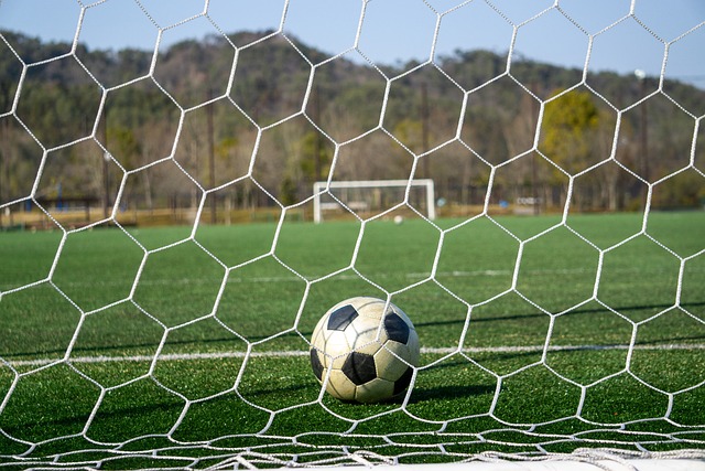 带来的巨大 带来的巨大