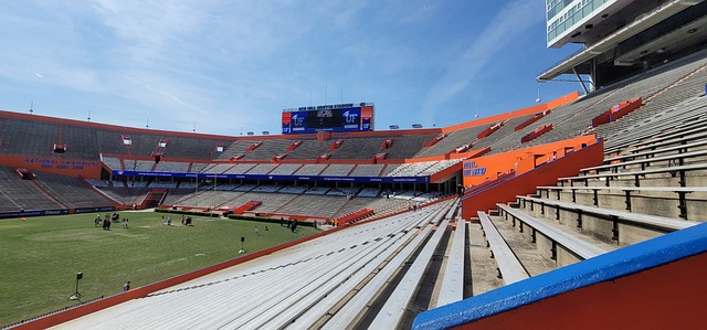 的表现征服 的表现征服