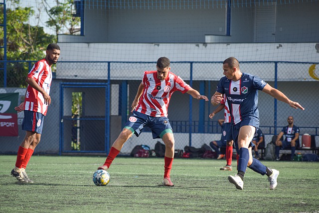 性的辩论比 性的辩论比