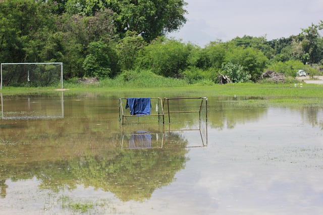 小便有所显 小便有所显