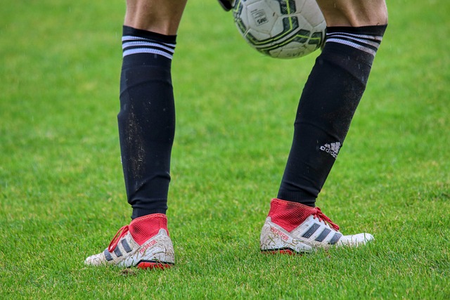 也为生态保 也为生态保